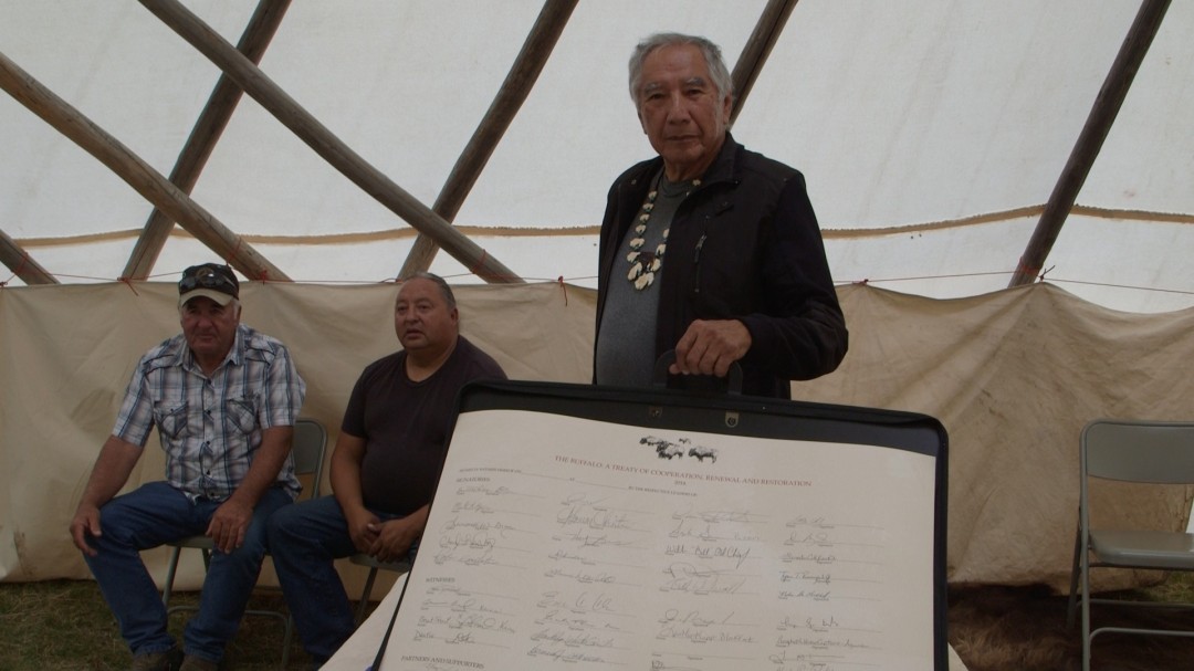 Leroy Littlebear showing the Buffalo Treaty